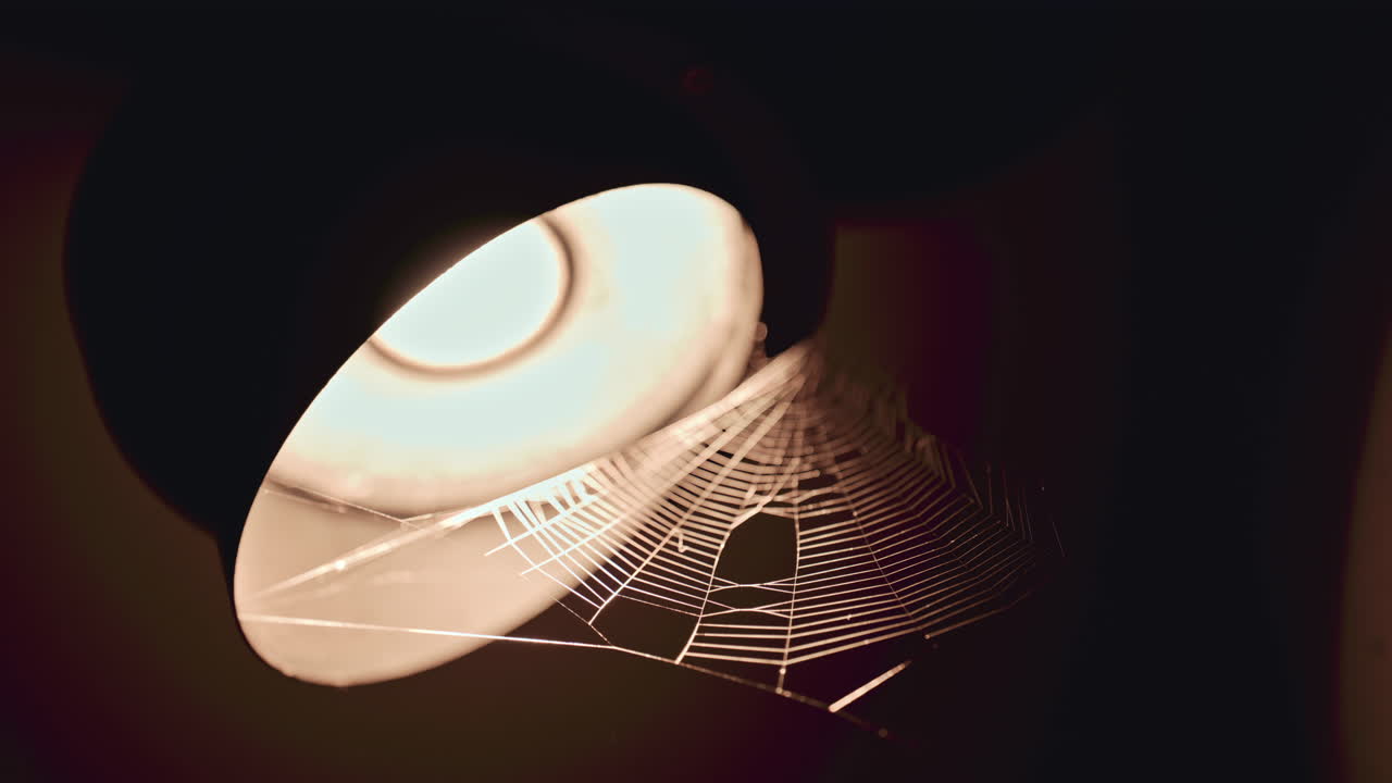 A dramatic spider web lit by a warm lamp, showing intricate detail