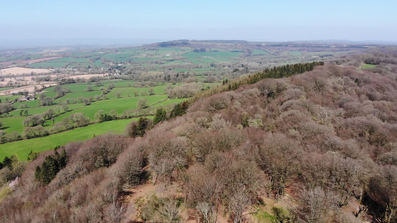toma delantera aérea sobre los árboles en hembury fort devon inglaterra