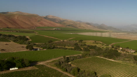 Helikopter-Antenne-Eines-Weinbergs-Im-Santa-Maria-Valley-Kalifornien-Ca