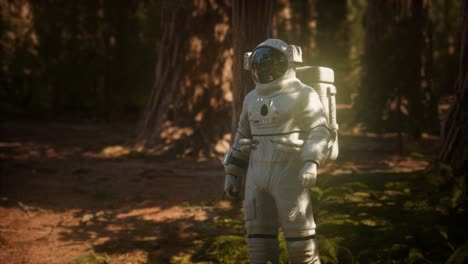 astronauta solitario en el bosque oscuro