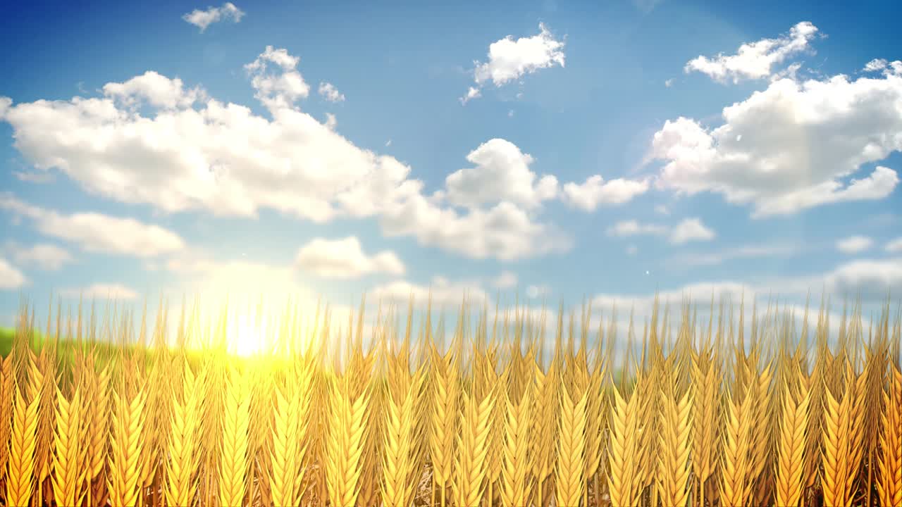 цикл теплового поля 4k