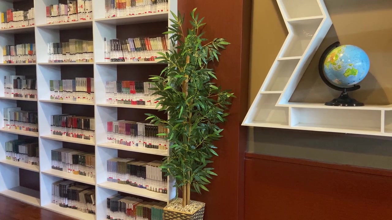 Interior de biblioteca moderna con estanterías, globo terráqueo y planta