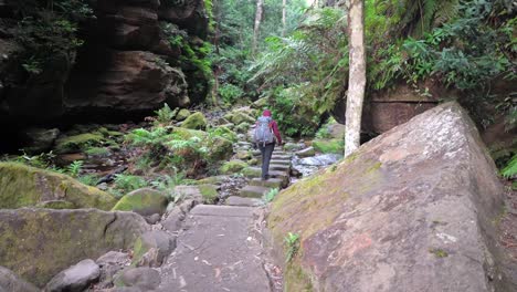 chica indígena australiana caminando a través de un cañón en una ventosa mañana de invierno, en el parque nacional de las montañas azules