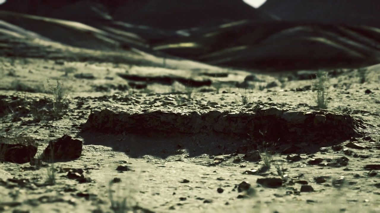 Wet sandy surface showing marks and reflective pools under dim light