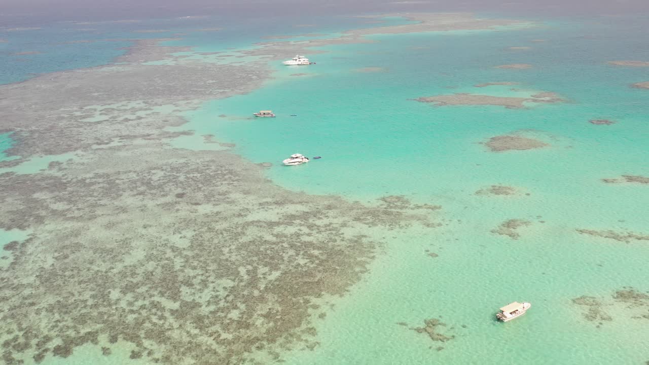 barcos de turismo de buceo y buceo anclan a lo largo de los arrecifes de coral prístinos del mar rojo jeddah, dolly aéreo