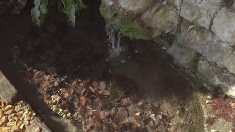 el agua sale de un antiguo muro de piedra hacia un pequeño estanque