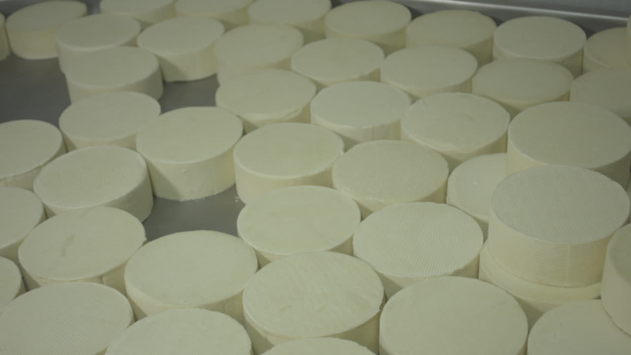 panado de quesos en el vinero