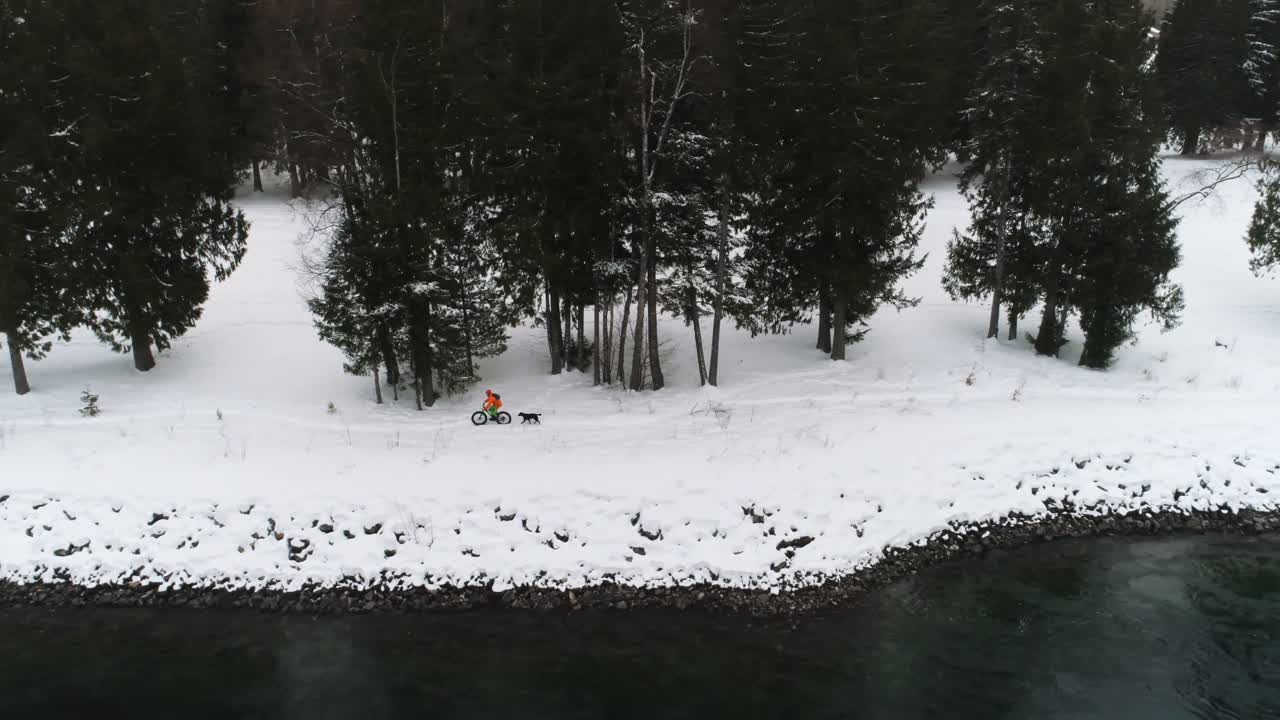 눈  ⁇ 인 숲에서 개와 함께 자전거를 타는 남자 4k