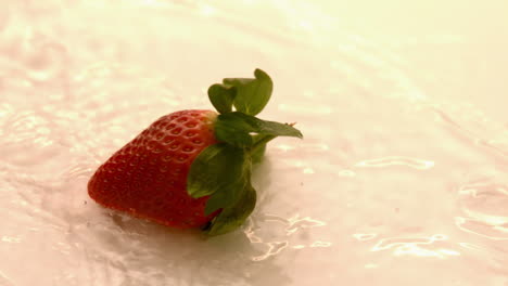 strawberry falling on white wet surface