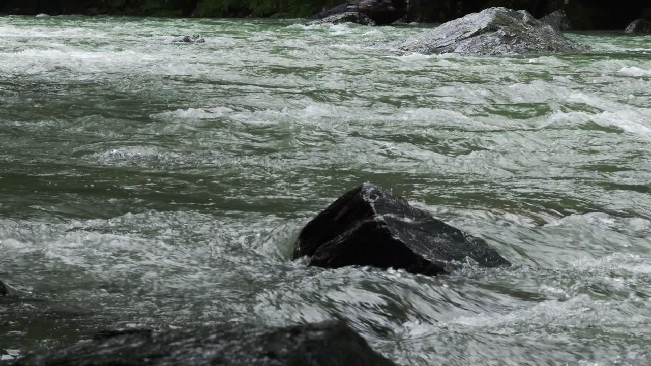 Rocks And Rapids In River In Haast, New Zealand - Wide Shot