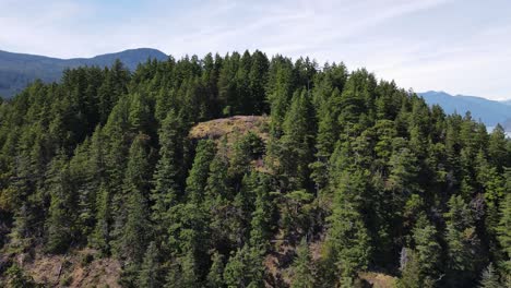 tree lined peak of soames hill in the beautiful area of gibsons in canada