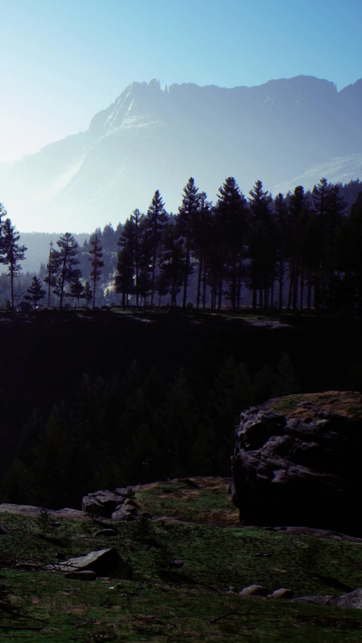 Mountains and trees under clear sky in early morning light near forest