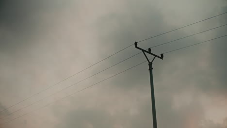 telegraph pole and cables against a cloudy sky