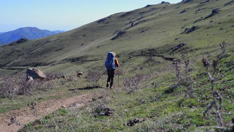 hiker with large back pack traverses grassy mountain meadow slope