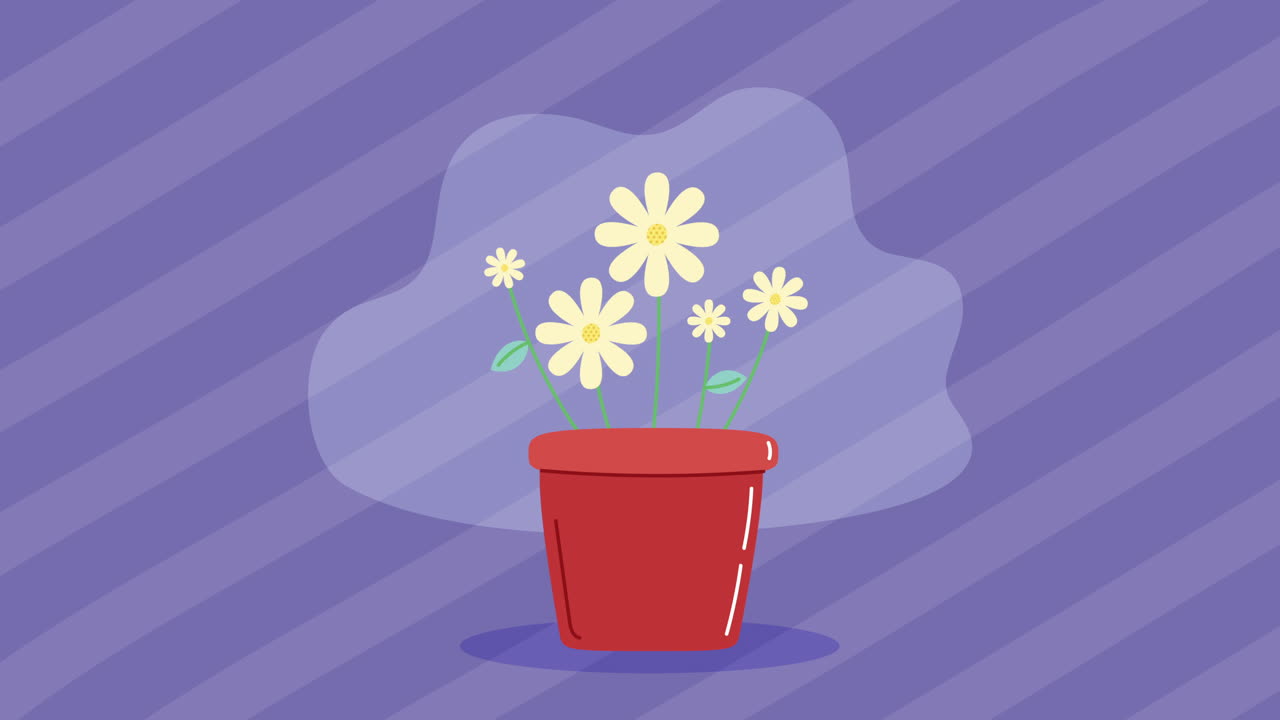 flowers garden in pot animation