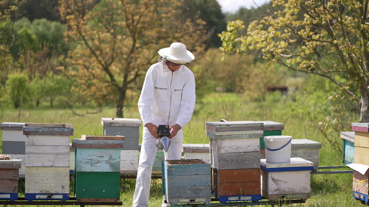 Raccolta di miele biologico da parte di un apicoltore. Apicoltore che lavora con i favi dell'apiario in estate.