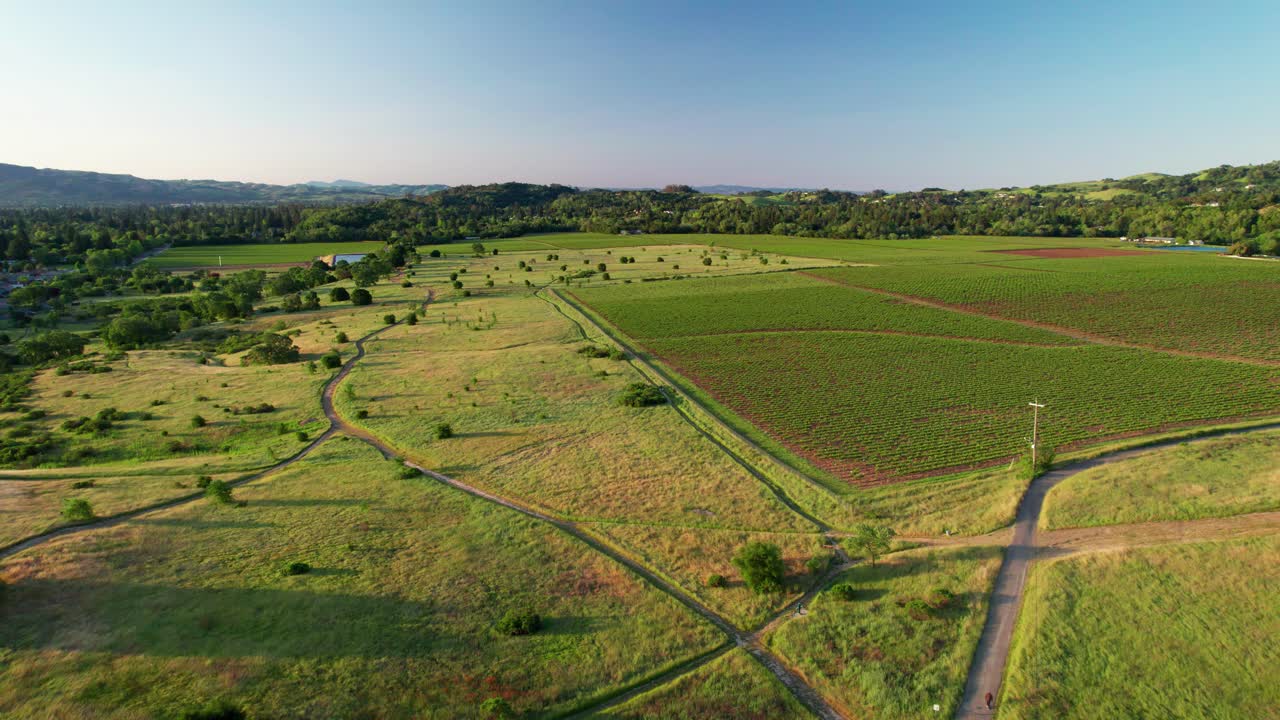 Napa Valley, California. Aerial panoramic push-in over lush, vibrant rolling hills of hiking trails, expanding into multiple routes near rows of vineyards.