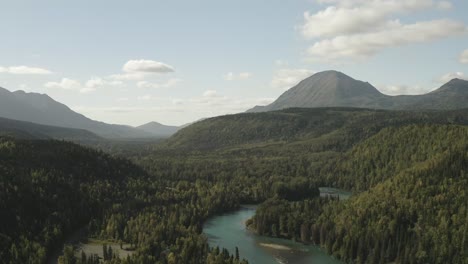 paisaje aéreo montañas de alaska con bosque de pinos verdes salvajes durante un día soleado