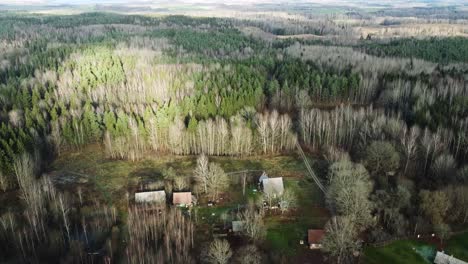 Aerial-shot-of-little-village-surrounded-by-dense-forest-in-early-winter-while-tree-tops-are-frozen