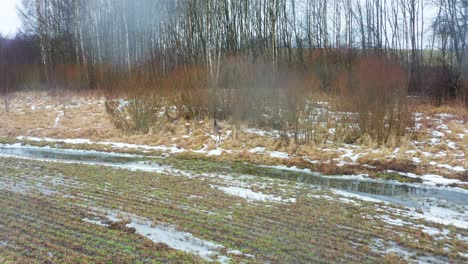 Aerial-view-of-roe-deer-run-toward-forest-and-brown-grass-field-with-bare-tree