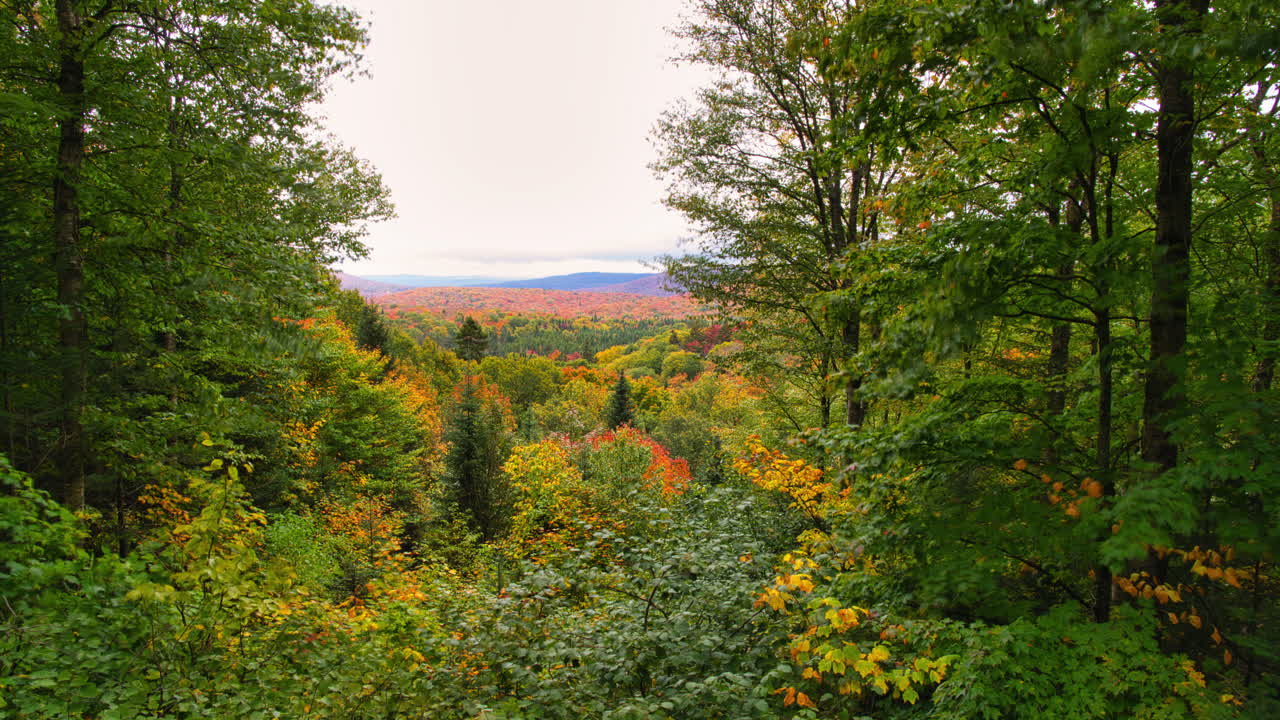 timelapse de otoño en una montaña del parque nacional de mont tremblant