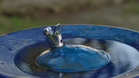 close up of a public water tap