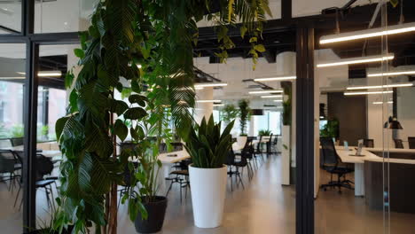 modern office interior featuring indoor plants and biophilic design