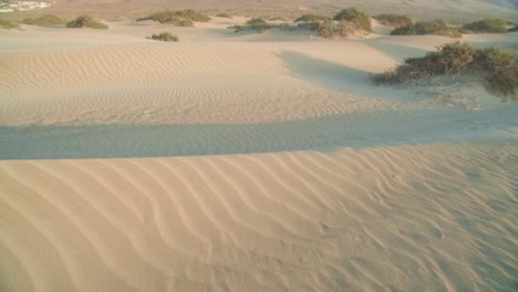 lanzarote's coastal dunes: sunset spectacles