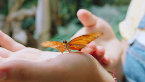 mano, mariposa y niños con una niña sosteniendo