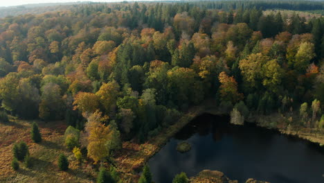 Buntes-Laub-Im-Fagne-Du-Rouge-Poncé-In-Saint-Hubert,-Belgien---Luftaufnahme