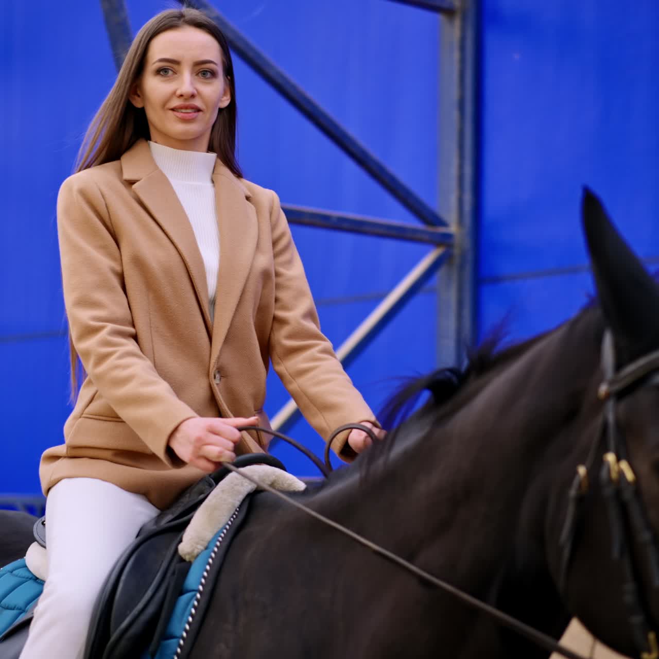 Attractive dark-haired lady riding a beautiful black horse. Woman practicing her hobby at riding hall. Low angle view