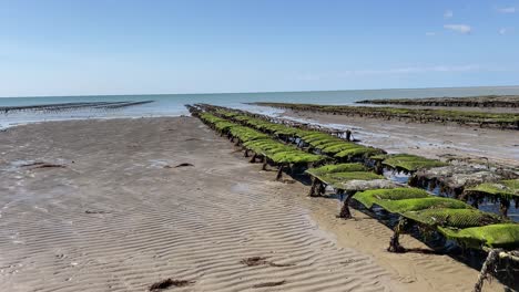 zoom out of oyster and mussels farming tables