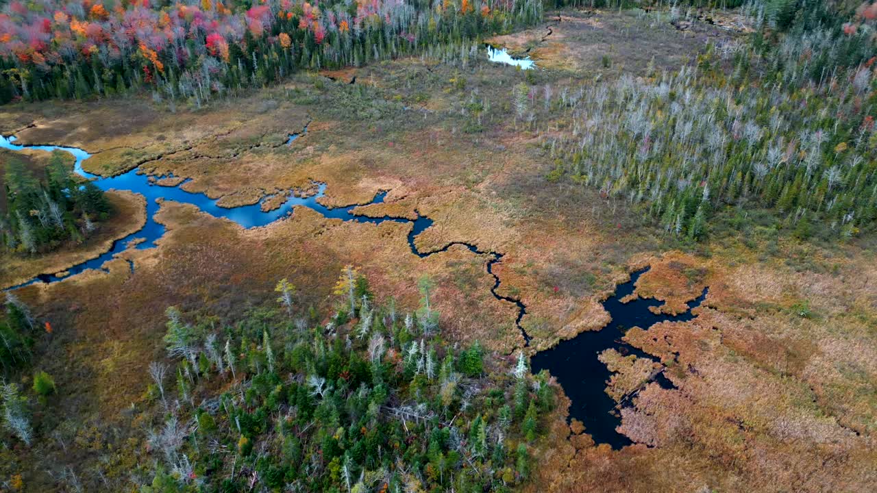 la paralaje del avión no tripulado revela un impresionante follaje de otoño separado por un río que refleja el cielo nublado.