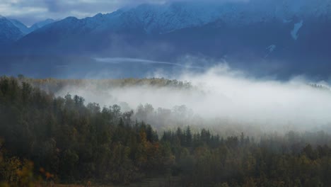 thin fog creeps and whirls above the autumn forest in the mountainous valley