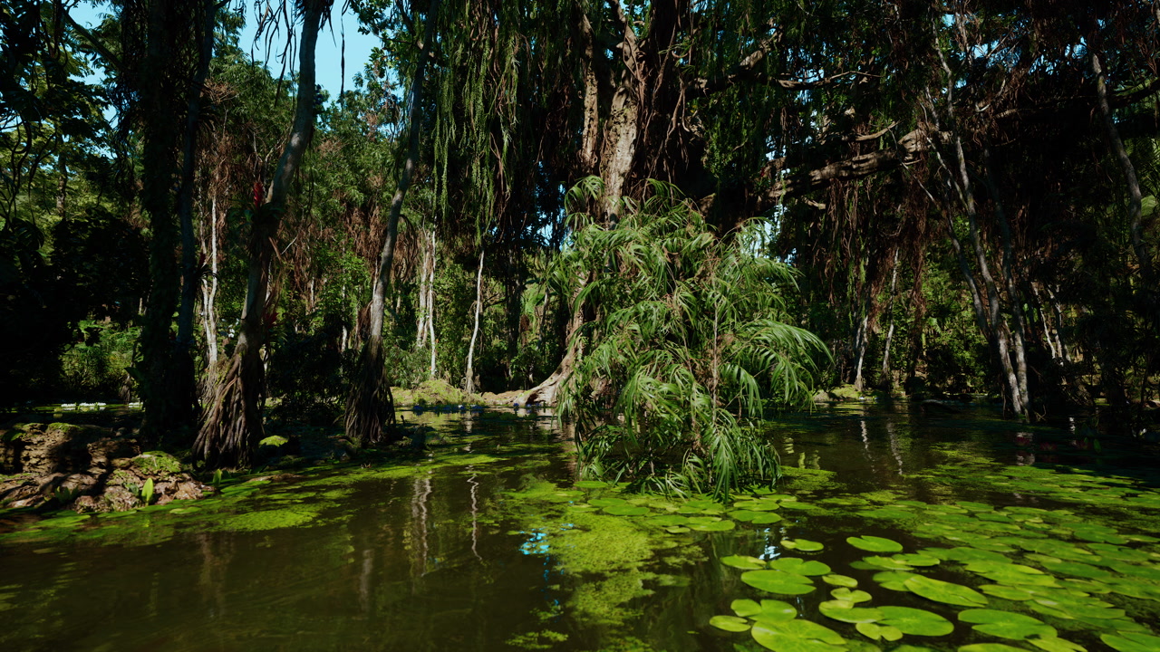 Giant cypress stem protruding from tranquil shallow water surface