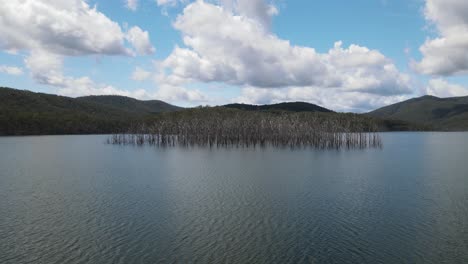 remnants of an old forest and valley flooded to create a dam for a large city water infrastructure project