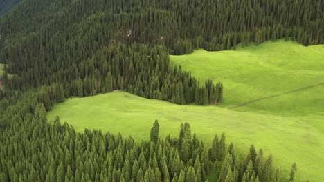 trees and grassland are under white clouds.