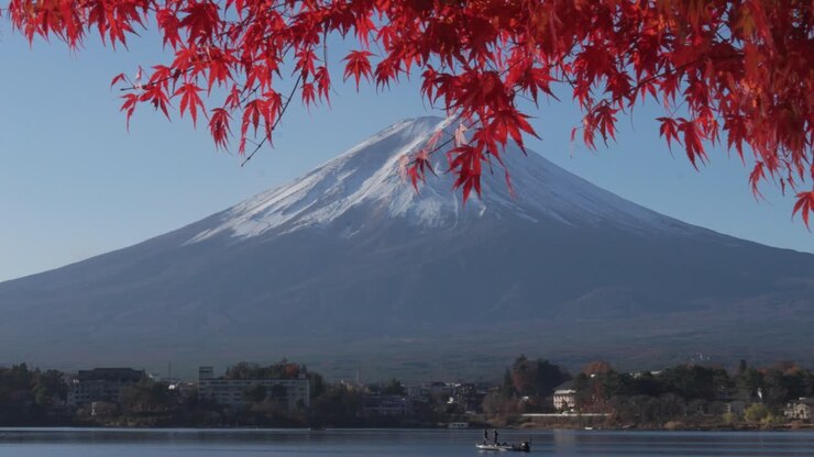 Foglie di acero rosso in Giappone di fronte al Monte Fuji, rivelazione lenta al Lago Kawaguchiko