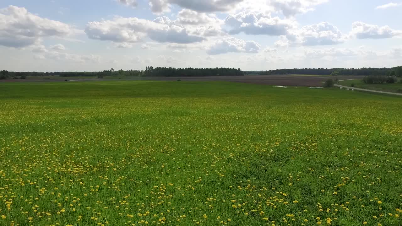 paisaje panorámico del campo en verano desde arriba y desde el suelo con rollos de heno y caminos