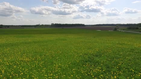 country side panoramic landscape in summer time from above and ground with hay rolls and roads