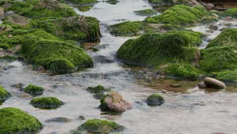 close up shot of water from rottington beck flowing onto the beach at saint bees seafront at low tide, west lake district