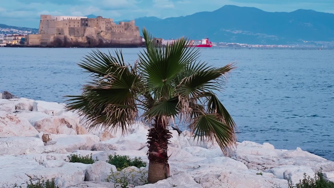 Palmeira em rochas brancas com vista para o Castel dell’Ovo em Nápoles ao entardecer, com águas calmas da baía, montanhas e um navio vermelho criando uma vista panorâmica do litoral mediterrâneo.