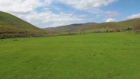 Dron-Volador-De-Bajo-Nivel-En-Campo.-50-Fps