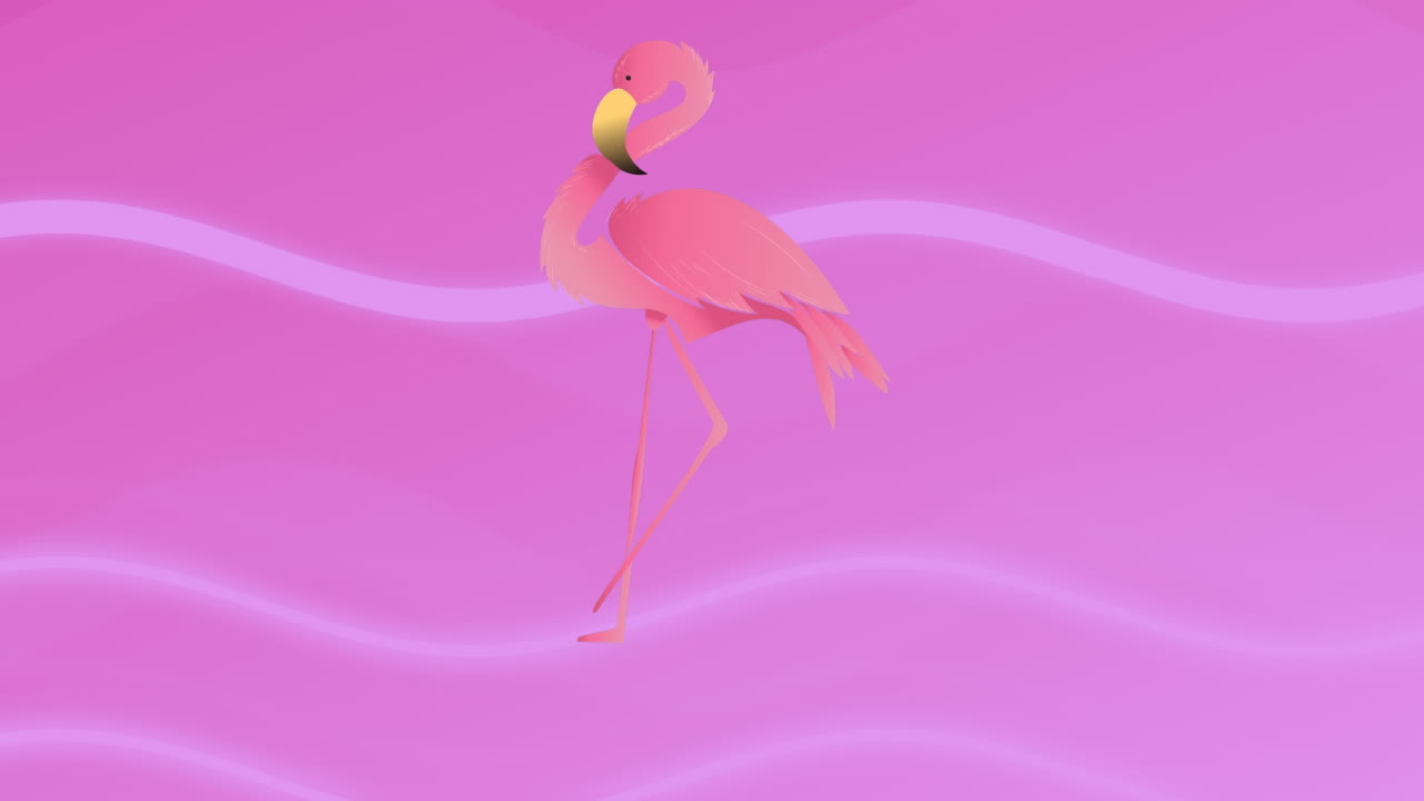 핑크색 배경의 모양 위에 플라밍고 아이콘의 애니메이션