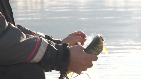 las manos del pescador desenredan el pescado de la red en el barco, plano medio