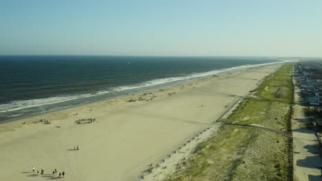 aerial, many people on large beach next to beach houses and beachside suburb