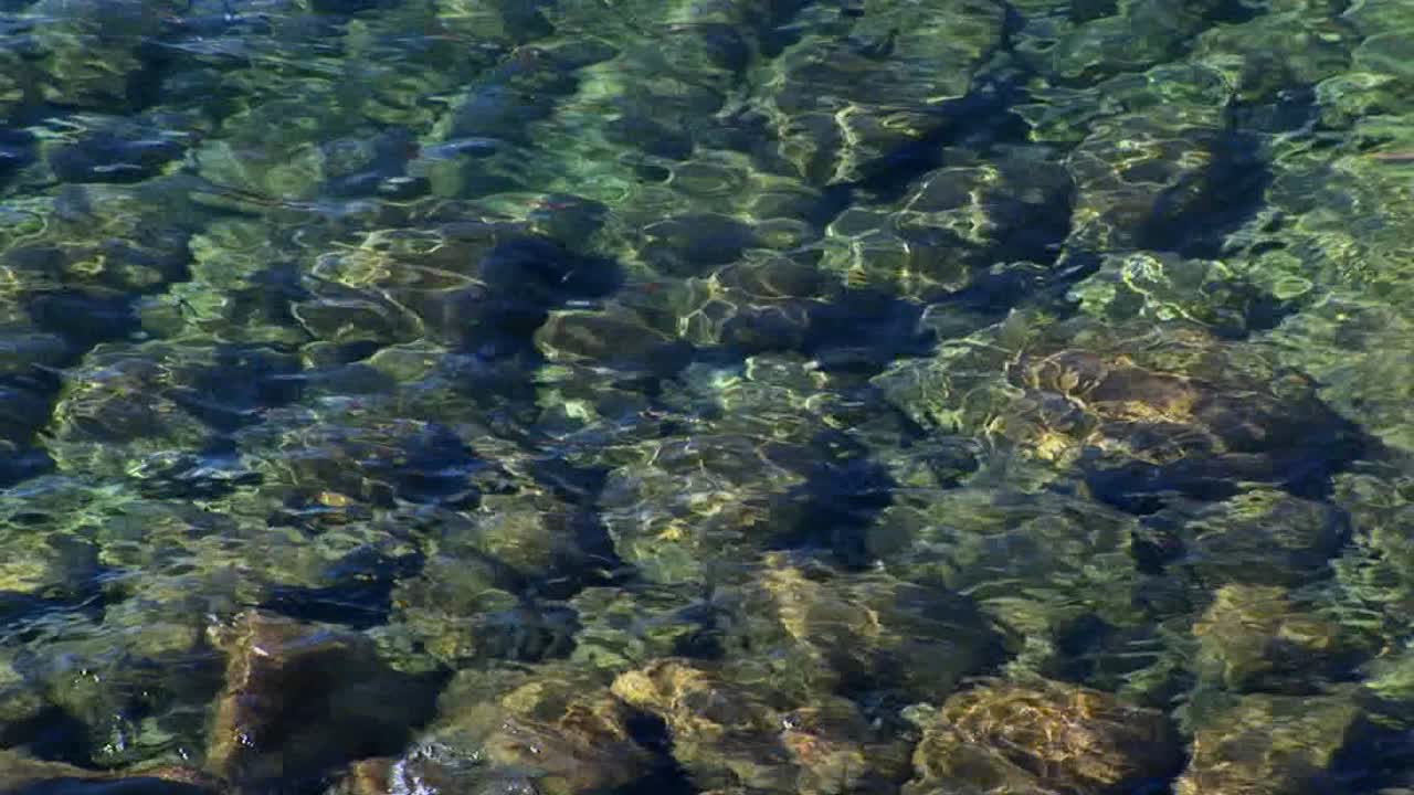 타호 호수의 잔물결은 시에라 네바다 산맥의 표면 아래 바위의 전망을 왜곡합니다