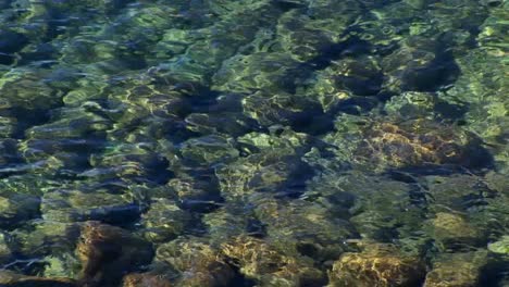 Las-Ondas-De-Agua-En-El-Lago-Tahoe-Distorsionan-La-Vista-De-Las-Rocas-Debajo-De-La-Superficie-De-Las-Montañas-De-Sierra-Nevada.