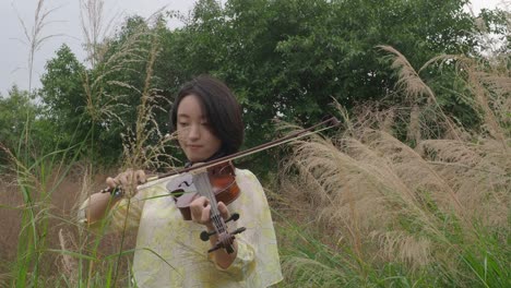 asian teenager female playing a violin