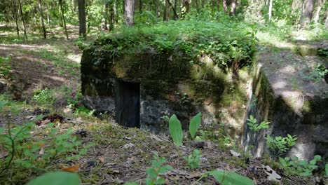 búnker de hormigón abandonado de la segunda guerra mundial escondido en un hermoso bosque verde